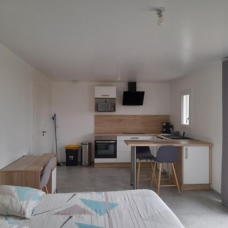 Studio Lumineux Avec Terrasse La Roche-sur-Yon Εξωτερικό φωτογραφία